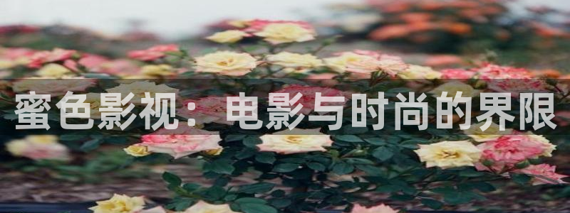 好看影院大全