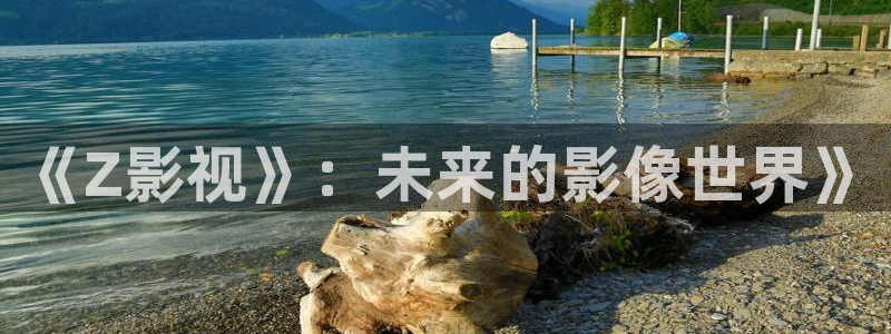 好看影院在线观看：《Z影视》：未来的影像世界》