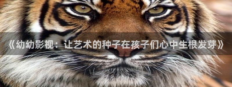 好看影院在线观看：《幼幼影视：让艺术的种子在孩子们心中生根发芽》