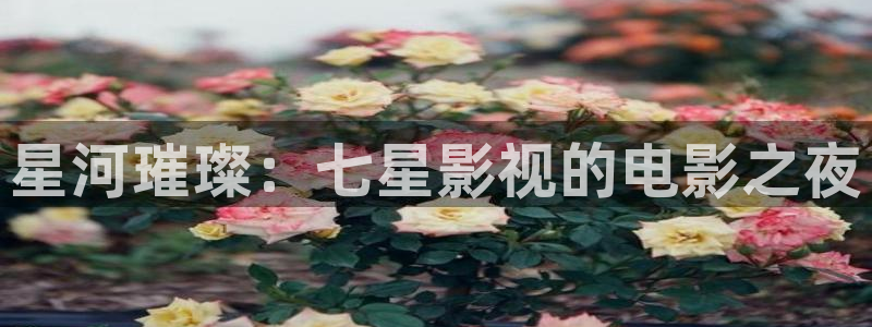 好看影院大全
